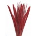 SPRAY MILLET 28" Red  - OUT OF STOCK